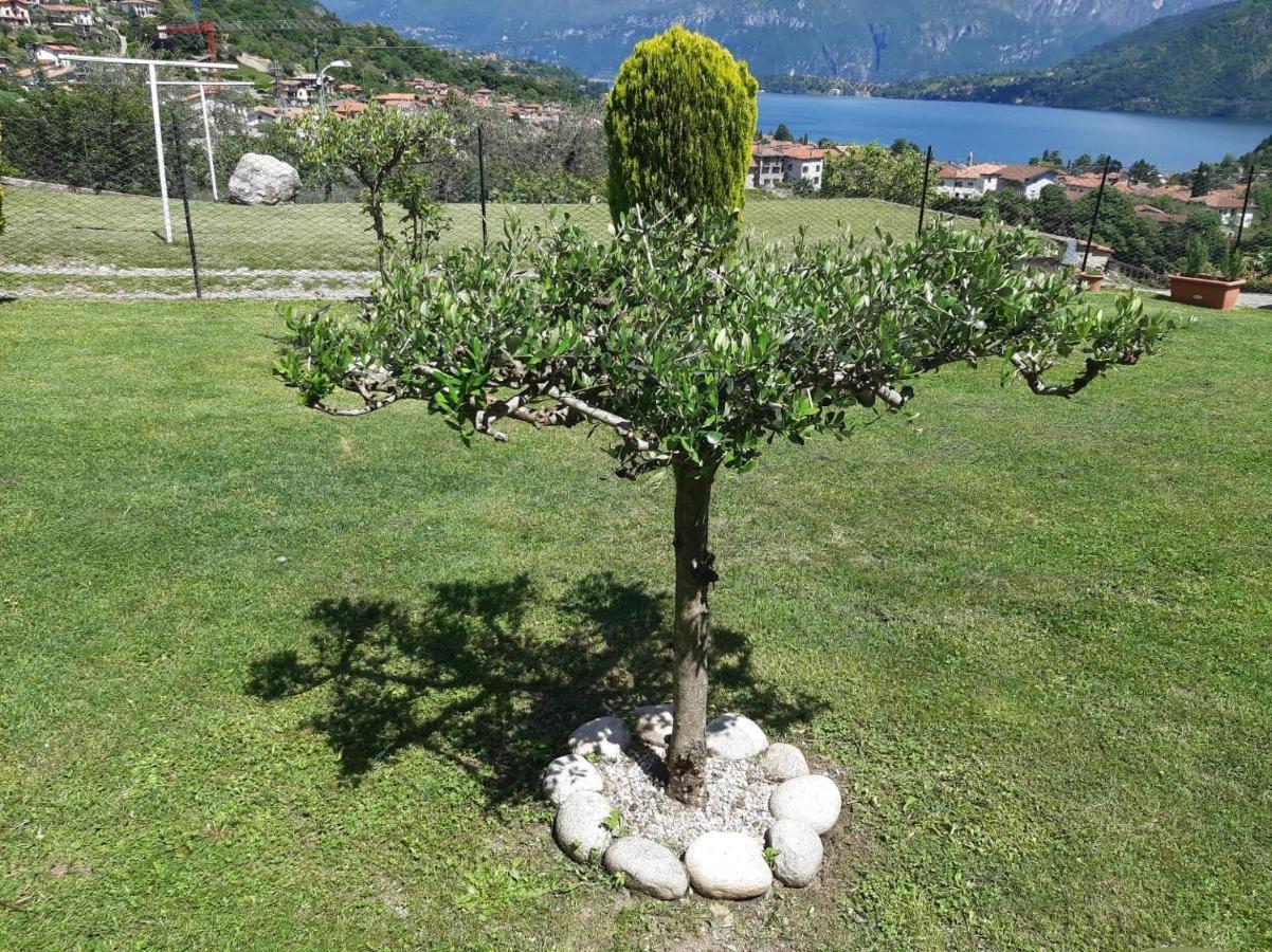 B&B Garzola Ossuccio Exterior foto